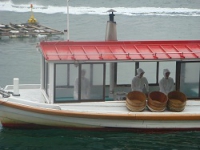 JAPAN-ISRAEL PERL ISLAND MIKIMOTO